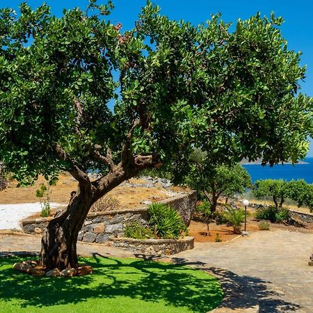 Elounda Anemelia Apartments Екстериор снимка