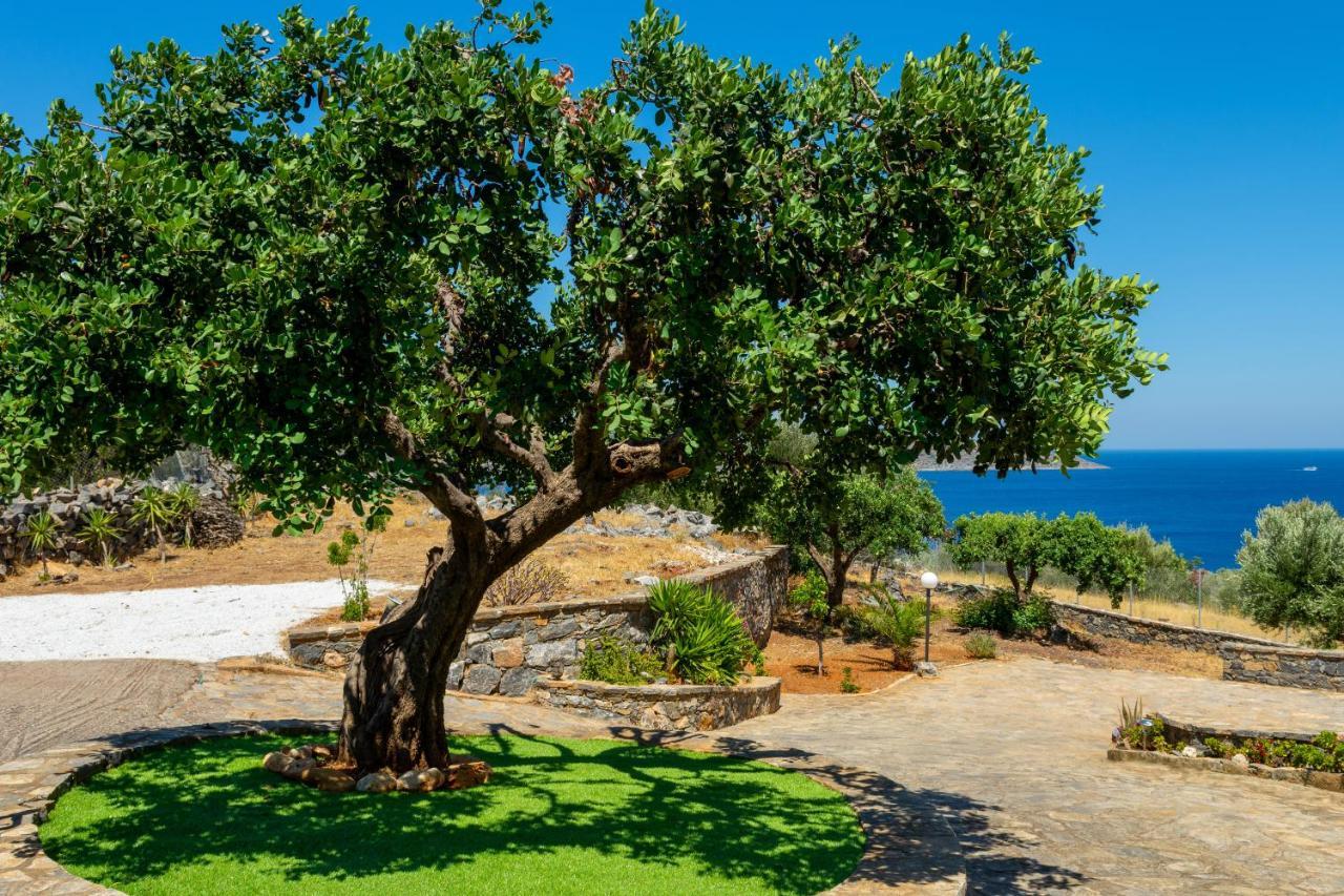Elounda Anemelia Apartments Екстериор снимка